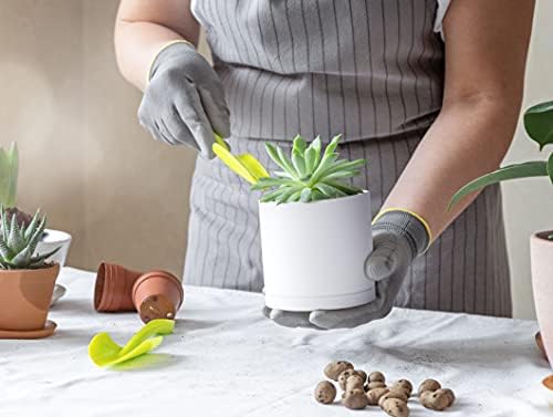D'vine Dev 6-Pack White Plastic Planters with Saucers, 4 in, 74-Z-E-3 - Image 5