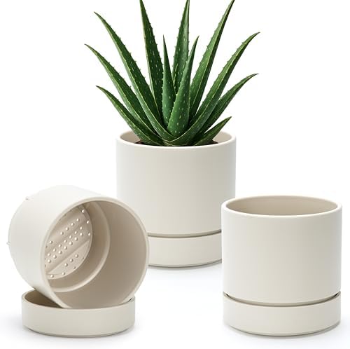 Phoenix Vine 6 Inch Planter Pot with Drainage Hole & Saucer, Deep Water Catch Tray, Straight Cylindrical Round Pot for Plants, Oatmeal, Pack of 3, 23-E-S-3 by Phoenix+Vine