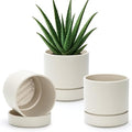 Phoenix Vine 6 Inch Planter Pot with Drainage Hole & Saucer, Deep Water Catch Tray, Straight Cylindrical Round Pot for Plants, Oatmeal, Pack of 3, 23-E-S-3 by Phoenix+Vine