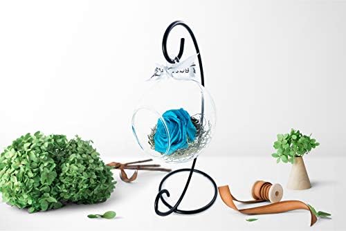 Real Natural Rose in A Glass Globe Terrrarium (Light Blue) - Image 2