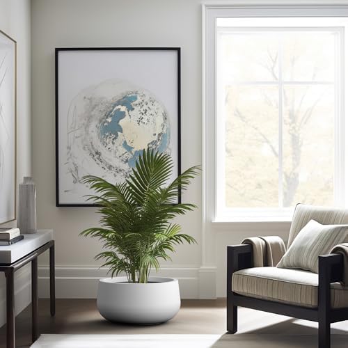 Kante Large Round Bowl White Concrete Planter 20" Dia, Outdoor - Image 5