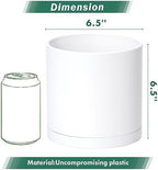 D'vine Dev 2-Pack White Plastic Planters with Saucers, 6.5 in, 74-Z-L-1 - Image 2