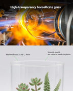 Desktop Glass Terrarium with Grow Light (9.8" H x 5.9" D) - for Succulents, Moss, Mini Gardens, Betta Fish Tanks, Mushroom Cultivation | Indoor Plant Growth | Office/Home Decor | Plant Lover Gifts - Image 6