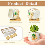 Succulent Pots with Drainage, 3.2" Small Plant Pots with Bamboo Trays, Ceramic Pots for Indoor Plants, Cactus Pots, Mini Succulent Planters for Home Garden Decor, Set of 6 - Image 4