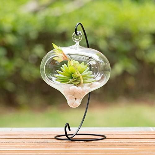 WGV Glass Hanging Plant Terrarium Bulk, Width 5", Height 5.5", Turnip DIY Succulent Air Planter Clear Tea Light Votive Candle Holder for Event Home Garden Outdoor Decor, 6 Pieces - Image 6