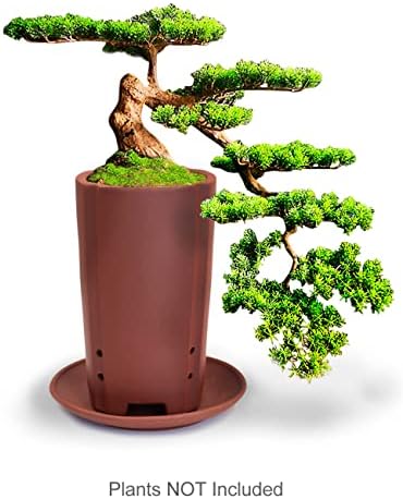 Dahlia 3.5" Zisha Tumbler Bonsai Planter/Succulent Pot/Flower Pot w. Saucer, Brown - Image 3