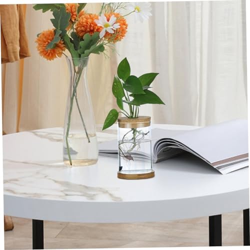 3Pcs Plant Propagation Station, Transparent Lidded Propagation Stations with Tray Hydroponic DIY Jars for Home Office Desktop, Straight - Image 2