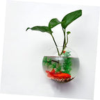 Happyyami 2 Sets Hydroponic Wall Hanging Vase Plant Clear Terrarium Container Wall Hydroponic Vases Globe Flower Vase Air Propagation Stations Wall Bowl Fish Tank Goldfish Bowl Glass Outdoor - Image 7