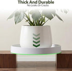 Ceramic Plant Saucer 10.5 Inch 1 Pack White, Fits Pot Base Under 10 Inch - Image 7