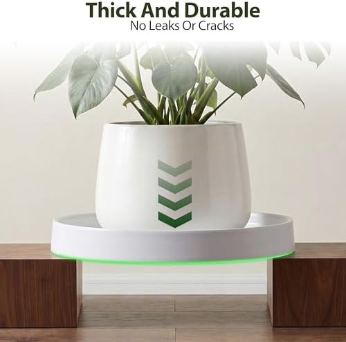 Ceramic Plant Saucer 10.5 Inch 1 Pack White, Fits Pot Base Under 10 Inch - Image 7
