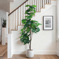 Jocoevol Artificial Fiddle Leaf Tree, 6ft Faux Plant Fake Ficus Lyrata Trees with White Planter - Perfect for House, Office, Living Room Indoor Home Decor, Ideal Housewarming Gift by JOCOEVOL