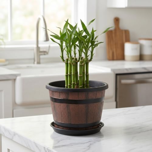 Plastic Barrel Flowerpot with Saucer, Rustic Wood Grain Outdoor Planter - Image 7