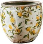 Plant Pots Spring Lemons Pattern Planter Succulent Pots 4" D - 7.3" D Large Planter Pots with Drainage Hole, Decorative Garden Pots Round Ceramic Pots Outdoor Plant Pots Spring Decor by Unknown