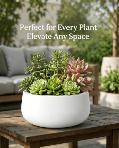 Kante 11" Dia White Concrete Planter, Small Round Plant Pot Bowl - Image 4