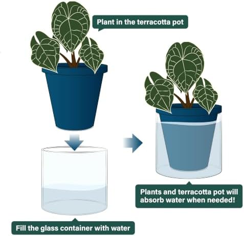 D'vine Dev Self-Watering Blue Terracotta Planter, 6 in, 2-Pack, 37-Y-B-4 - Image 4