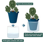 D'vine Dev Self-Watering Blue Terracotta Planter, 6 in, 2-Pack, 37-Y-B-4 - Image 4