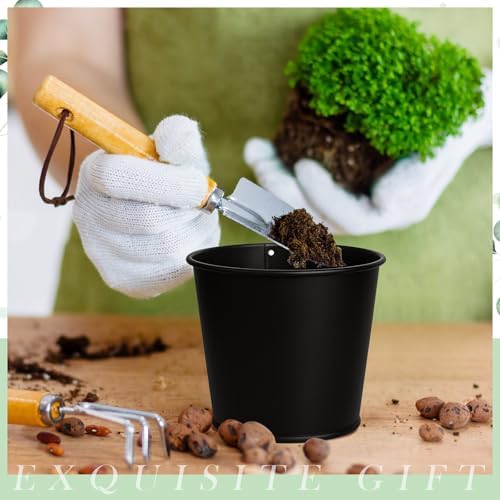 FoldTier 2 Sets Indoor Herb Garden Planter Kit with 10 Metal Pots, Black - Image 6