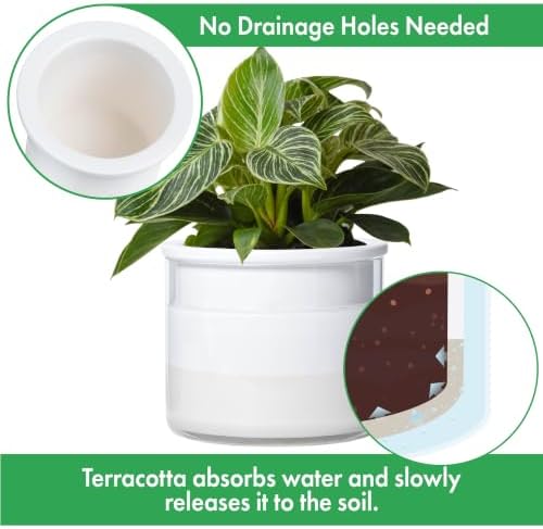 Phoenix Vine 6 Inch 4 Inch Self Watering Planter Pots, Design White Terracotta Pots for Plants, Indoor Cylinder Terra Cotta Pots with Glass Vase Set, 51-B-G-46 - Image 4