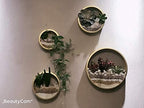 3 Pack Set Wall Planters,Modern Round Glass Wall Planter Succulent Planter Circle Iron Hanging Planter Vase for Herb,Small Cactus Perfect for Balcony, Room and Patio Decor (Gold) - Image 5