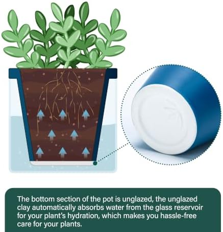 D'vine Dev Self-Watering Blue Terracotta Planter, 4 in, 3-Pack, 37-Z-A-4-T - Image 5