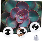 SUPVOX Plant Cloches Plastic Ventilated Dome for Seedlings - Image 7