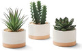 Artificial Succulent Plants in Ceramic Pots Set of 3 by Astridiadecorateyourlife