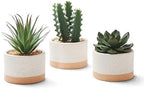 Artificial Succulent Plants in Ceramic Pots Set of 3 by Astridiadecorateyourlife