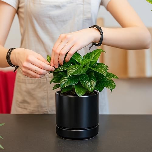 D'vine Dev 2-Pack Ceramic Pots with Saucers, Black, 4/6 in, 94-G-S-2 - Image 6
