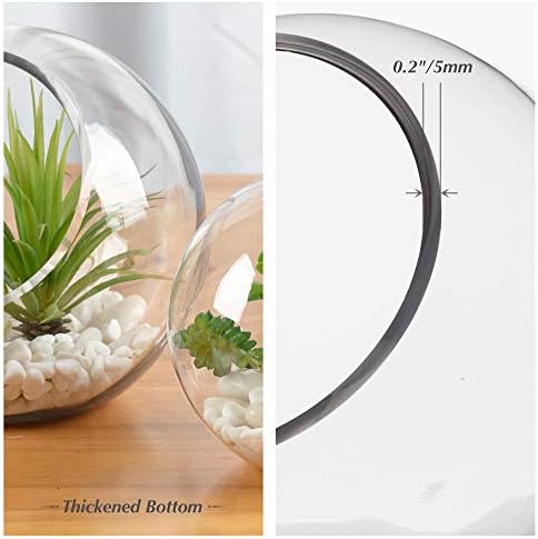 WGV Slant Cut Bowl Glass Vase Bulk, Width 9", Height 9", Clear Round Globe Planter Terrarium Orb, Candy Dish, Fruit Jar, Floral Container for Home Office Decor, 4 Pieces - Image 3