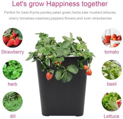 DWC 2 Hydroponic Buckets Kit for Plants, Hydroponics Growing System for Herbs/Tomato/Vegetables, DWC System with Air Pump & Germination Tray (Complete Indoor Hydroponic Gardening Supplies) (Black) - Image 5