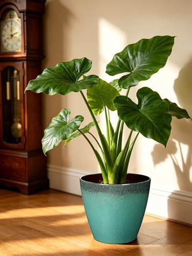 Hollyone Set of 2 Outdoor Planter 8 inch Plant Pot Plastic Pots for Plants Planters for Outdoor Indoor Plants with Drainage Hole Round Plastic Plant Pot Flower Pots Garden Decor Gradient Mint Green - Image 4