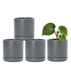 D'vine Dev 4-Pack Ceramic Pots with Saucers, Grey, 3.5 in, 94-X-A-3 by DvineDevPlanterPotsandStand