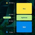 Blumat Accurate Soil Moisture Meter Water Indicator - with Cap - for Indoor - Image 6