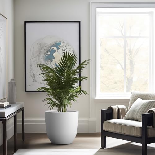 Kante 18 Inch Dia Round Concrete Planter, Indoor Outdoor Large Plant Pot with Drainage Hole and Rubber Plug for Home Patio Garden, Pure White - Image 5
