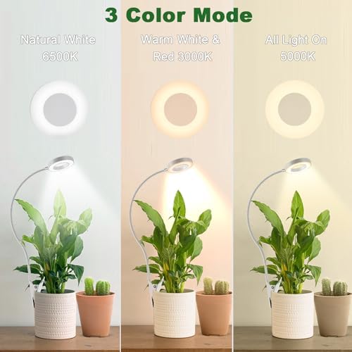Grow Light, Plant Light for Indoor Plants, Full Spectrum Desk Clip On Grow Lamp with Automatic Timer for 3H/8H/12H, 10 Dimmable Levels, 3 Pack - Image 2