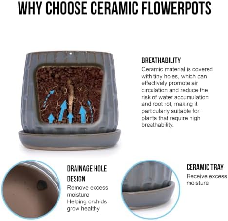 Decorative Ceramic Planter Set of 2, 6" & 8" Diameter, Modern Flower Pots for Indoor Plants, w/Drainage and Saucer, Ceramic Pots for Garden & Home Decor, Gray - Image 4