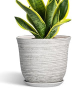 Ceramic Plant Pots - 8 Inch Plant Pot with Drainage Hole and Saucer, Round Flower Pots for Indoor Outdoor, Modern Planter, Decorative Planters, Home Apartment Decor, Gardening Gifts, Grey by SUNPOTFOR