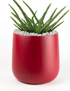 Fiberglass Planter |Matte Colors | Round Bottom| Indoor & Outdoor Planter |Heat Resistant | Premium Fiberglass | Red | Perfect Gift | Office and Home décor | 13" H by 13" D by Unknown
