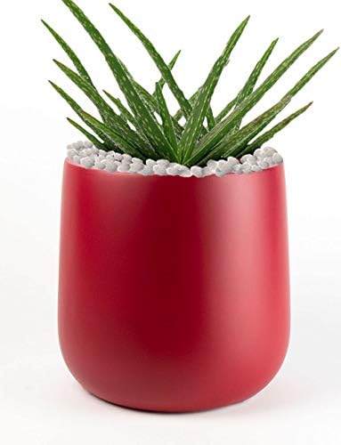 Fiberglass Planter |Matte Colors | Round Bottom| Indoor & Outdoor Planter |Heat Resistant | Premium Fiberglass | Red | Perfect Gift | Office and Home décor | 13" H by 13" D by Unknown