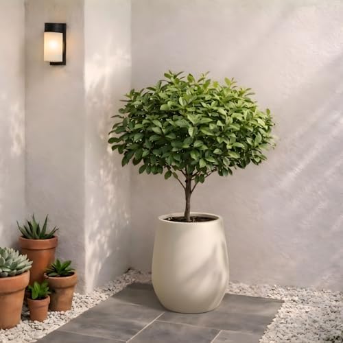 KUTE NEST 11.4" Premium Corso Fiberstone Outdoor Planter - Kilim Beige - Image 3