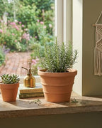 2 Pack 8 Inch Terracotta Pots for Plants, Rope Pattern with Drainage Hole - Image 6
