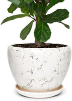 11 Inch Ceramic Plant Pot with Drainage Hole Mesh Net, Large Gardening Pots for Indoor Plants with Saucer, White Silk by Unknown