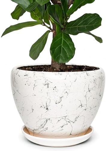 11 Inch Ceramic Plant Pot with Drainage Hole Mesh Net, Large Gardening Pots for Indoor Plants with Saucer, White Silk by Unknown