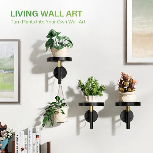 DELLAN Wall Plant Holder, 3 Pack Metal Stand, BlackGold - Image 5