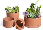 D'vine Dev Set of 4 Terracotta Shallow Planter Pots for Succulent, 3 Inch 4 Inch 5 Inch 6 Inch, Small Flower Plant Pots with Drainage and Saucer, 40-Z-0 by DvineDevPlanterPotsandStand