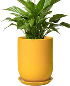 Plant Pot 8 Inch - Ceramic Plant Pot with Drainage Hole and Saucer Large Planter for Indoor Plants Outdoor Modern Flower Pot for Home Garden Decor Yellow by SUNPOTFOR
