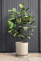 Veradek Mason Series Lima Planter Tray - Image 3