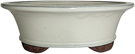 Brussel's Bonsai - Large Ceramic Bonsai Plant Pot, Oval Glazed Planter by BrusselsBonsai
