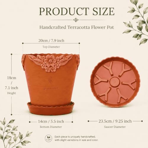 8 Inch Terracotta Plant Pots with Floral Rim and Saucer - Image 2