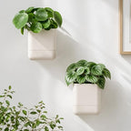 Phoenix Vine 4.5 Inch Wall Mounted Self-Watering Planter Pot for Indoor Houseplants and Herbs | Hanging Planter for Window Sills, Bathroom Walls, Home & Office Décor, Oatmeal, Set of 4, 01-B-G-4 - Image 6